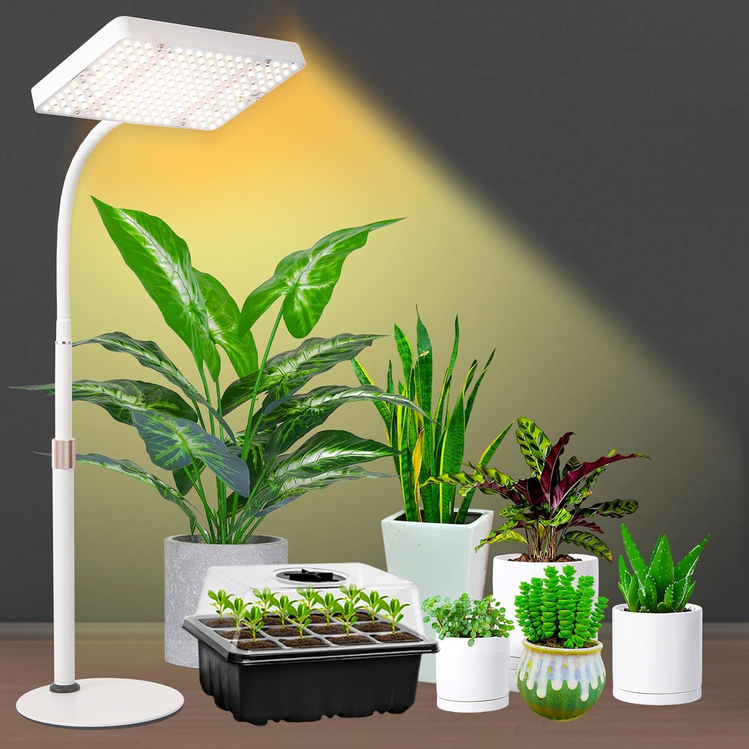 Desk Grow Lights for Indoor Plants 2000 Lumen, 25 Watt Table Top Grow Light UV-IR Full Spectrum Plant Growing Lamp,16-24 Height Adjustable with On/Off Switch, Daisy Chain