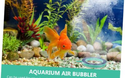 DOITOOL Bubble Stone Aquarium Aerator Review