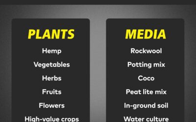 General Hydroponics Flora Series Review