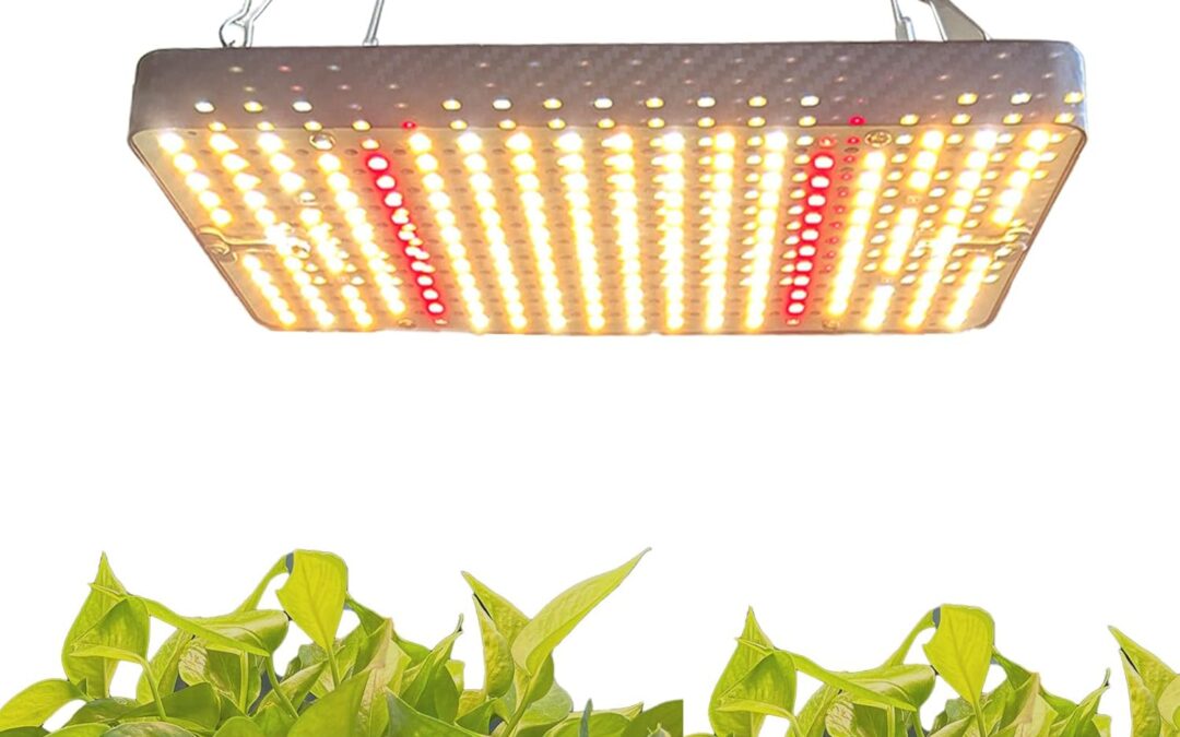 Plant Grow Light for Indoor Plants Review