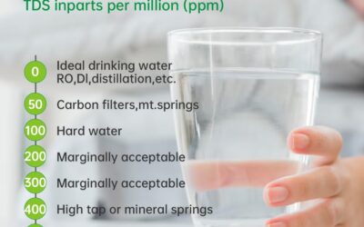 TAEIING Water Quality Tester Review