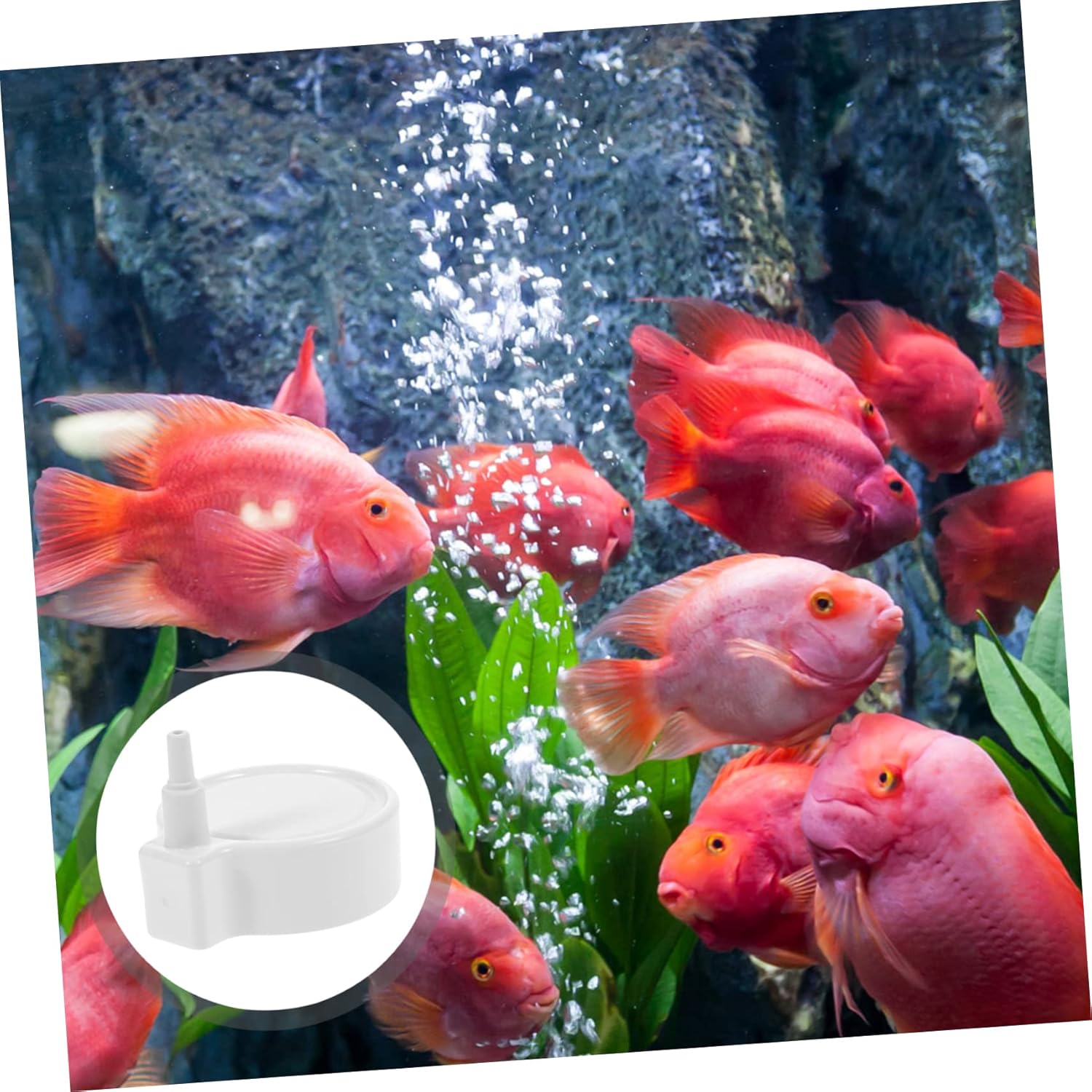 BESPORTBLE Stone Inflatable Fish Tank Fish Air Pump Aeration Stone and Pump Aquarium Suction Cups Electric Kit Air Pump for Aquarium Heater Aquarium Air Pump Quiet Sponge Abs Grey