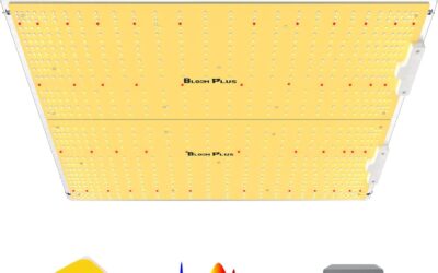 Bloom Plus XP4000 LED Grow Light Review