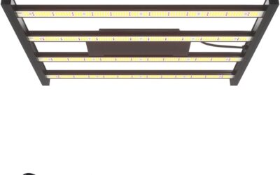 CANAGROW CG2400 LED Grow Light Review