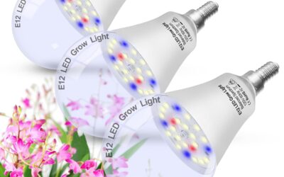 E12 Candelabra Grow Light Bulbs Review