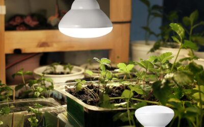 EDISHINE LED Grow Light Bulb Review