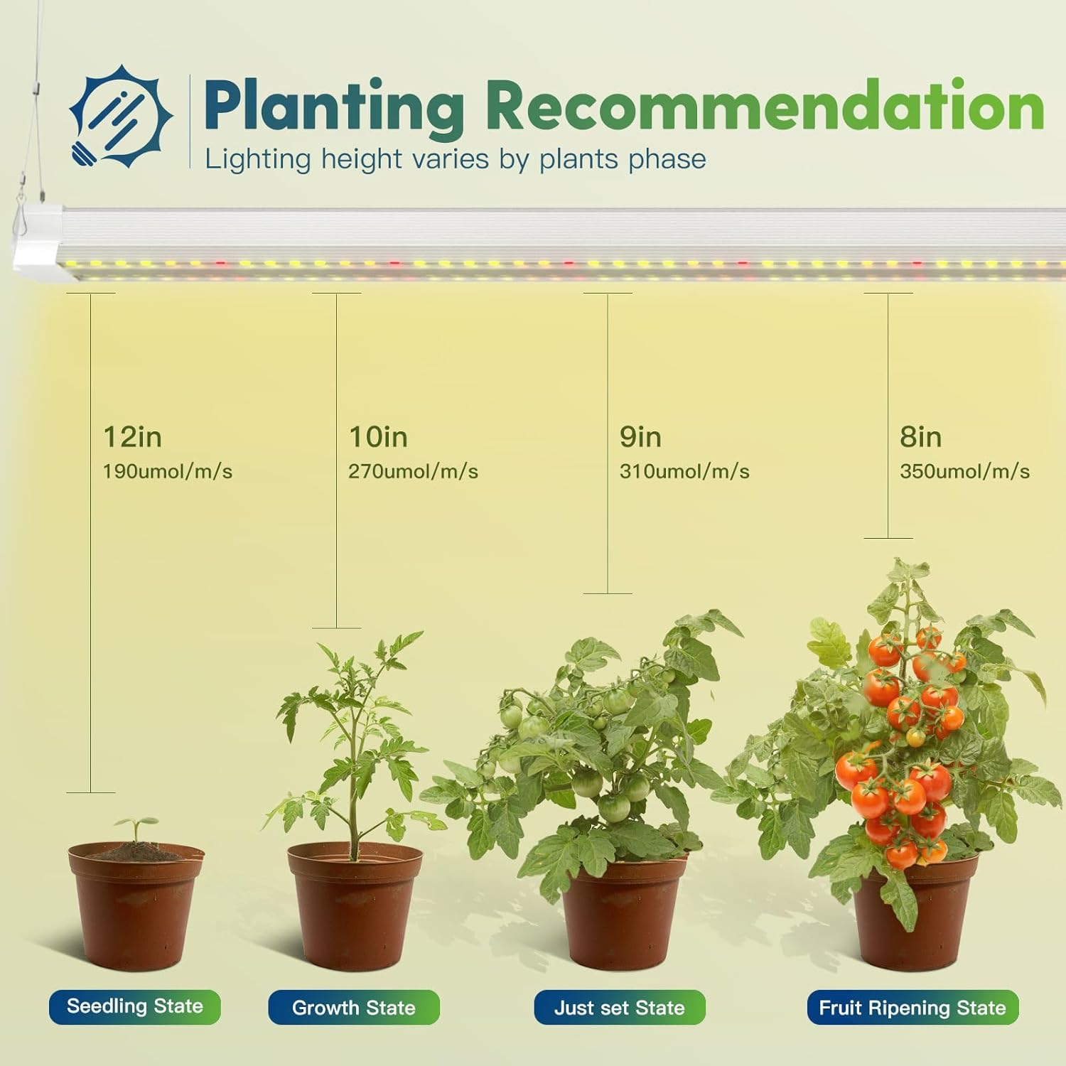 FREELICHT 2 Pack 4FT LED Grow Light, 40W (250W Equivalent), Red Blue (660nm+460nm) Full Spectrum Grow Light for Indoor Plants, Linkable Plug in Plant Growing Lamps for Hydroponic Seeding Veg Flower