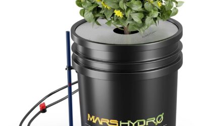 Mars Hydro DWC Hydroponics Grow System Review