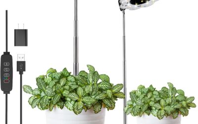 Plant Light for Indoor Plants Review