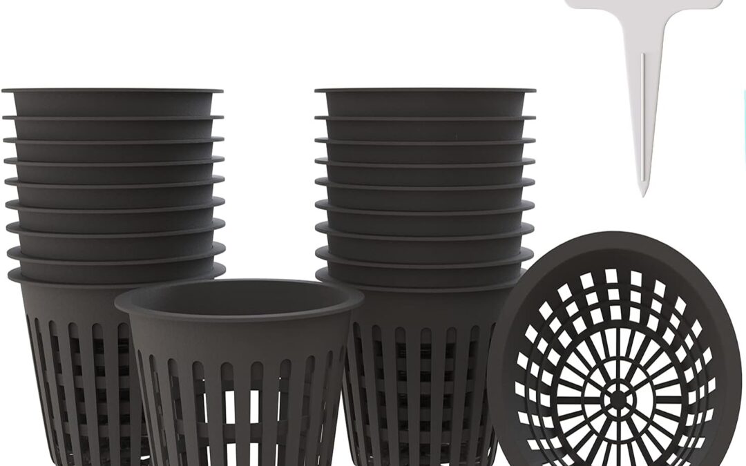 4 Inch Plastic Net Cups Review