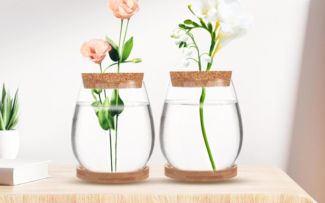 4 Pack Plant Propagation Jars Review