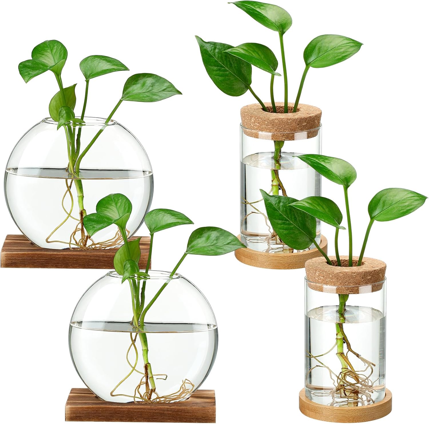 Layhit 4 Pcs Plants Propagation Stations Separated Desktop Plant Terrarium Glass Planter Vase with Wooden Lid and Bamboo Stand for Growing Hydroponic Home Office Tabletop Decoration (Novelty Style)