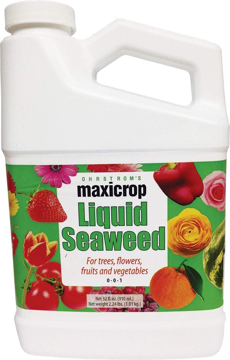 Original Liquid Seaweed, 1 Gallon (Packaging May Vary)