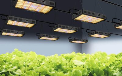 P1500 Full Spectrum LED Grow Light Review