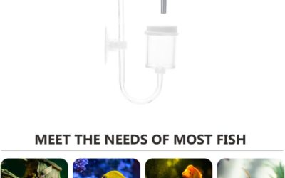 POPETPOP Fish Tank Air Bubble Maker Review