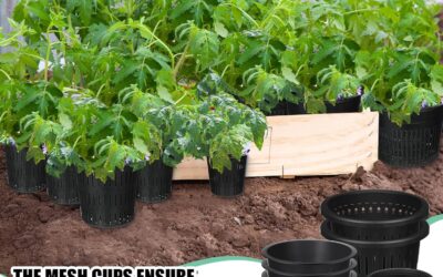 18 Pcs Orchid Pots Review