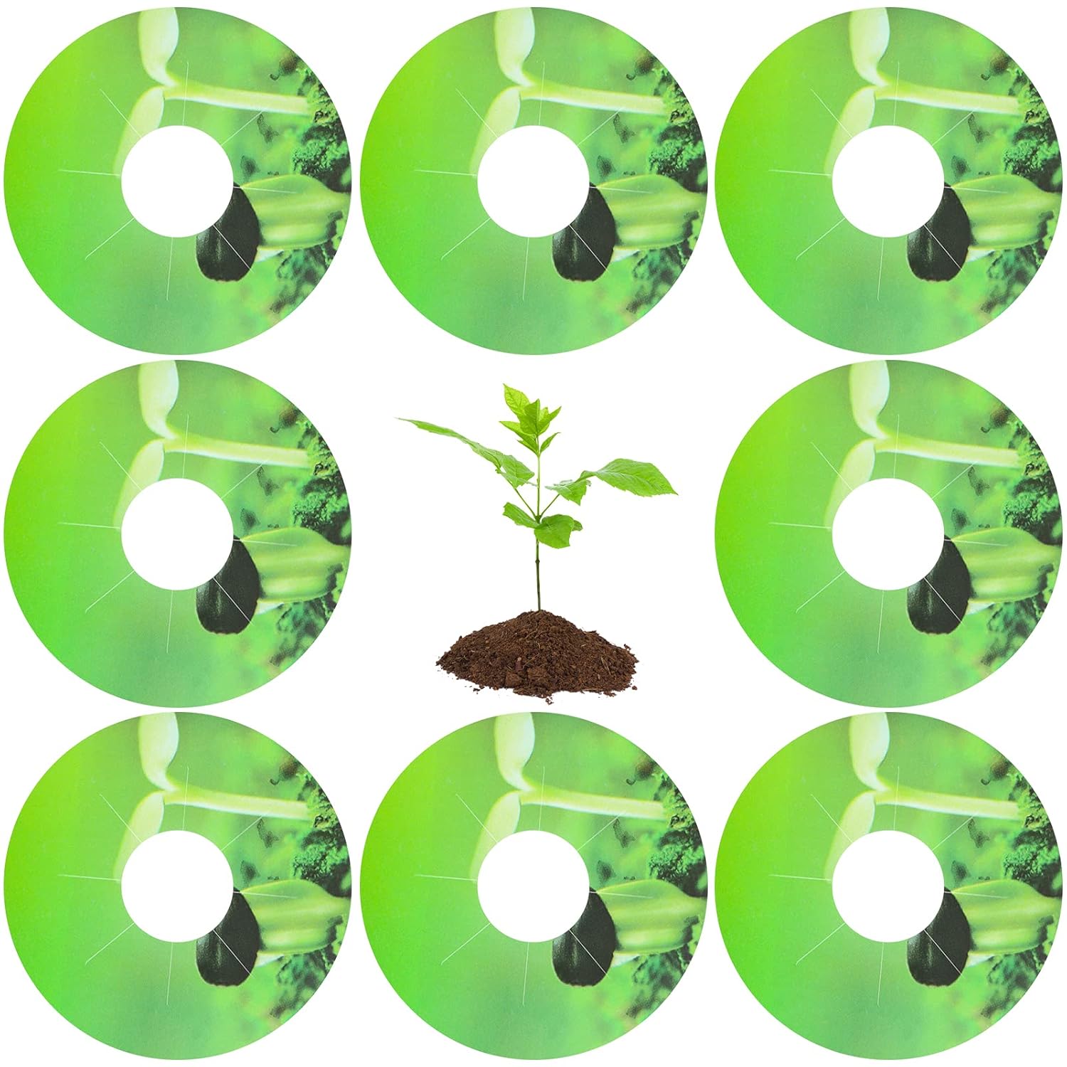 200 Pcs Seed Pot Labels PVC Seed Pot Labels Stickers, Round Peel and Stick Hydroponic Garden Basket Label for Mark Plants and Understand Plant Growth