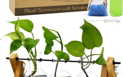 Plant Containers with Wooden Stand Review