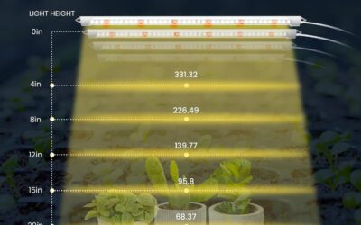 Seed Starting Light Review