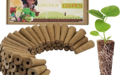 120pcs Hydroponic Sponge Review