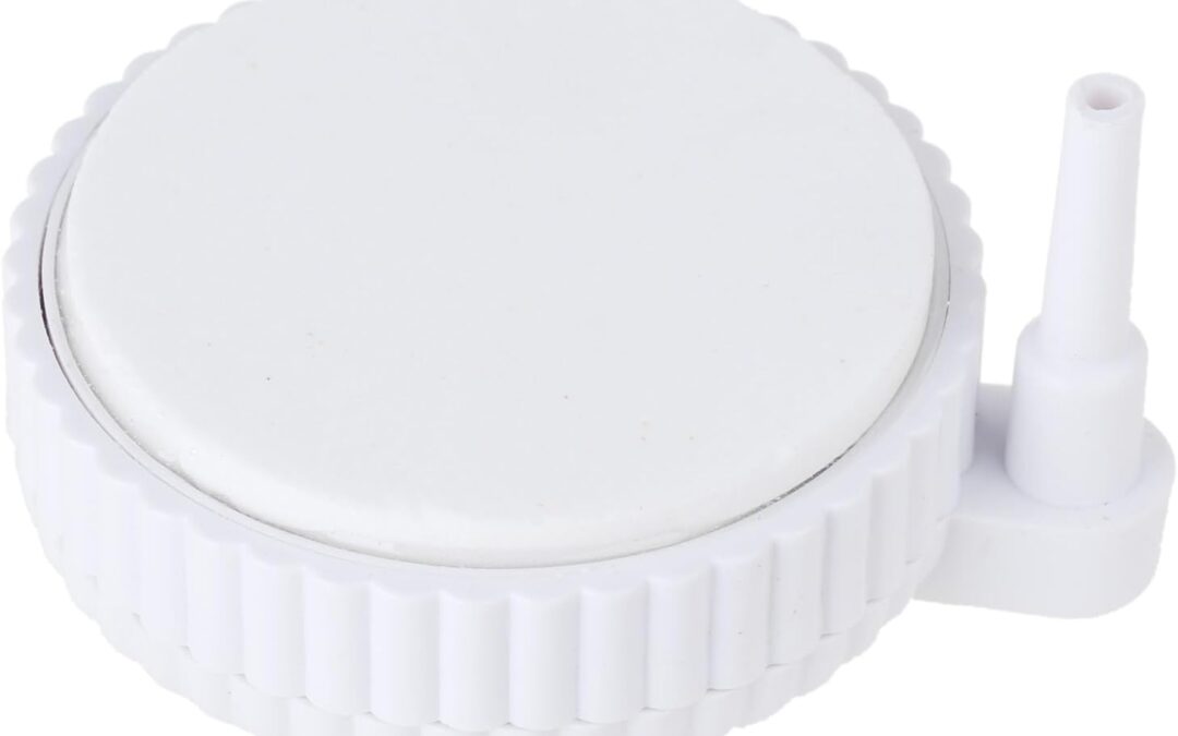 Air Stone with Shell Round Disc Review