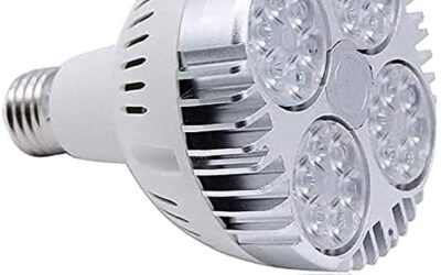 Aolyty 25W Grow Light Bulb Review