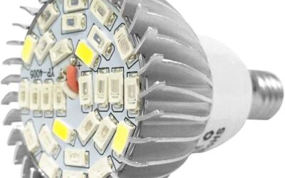 Plantenlamp E14 Review