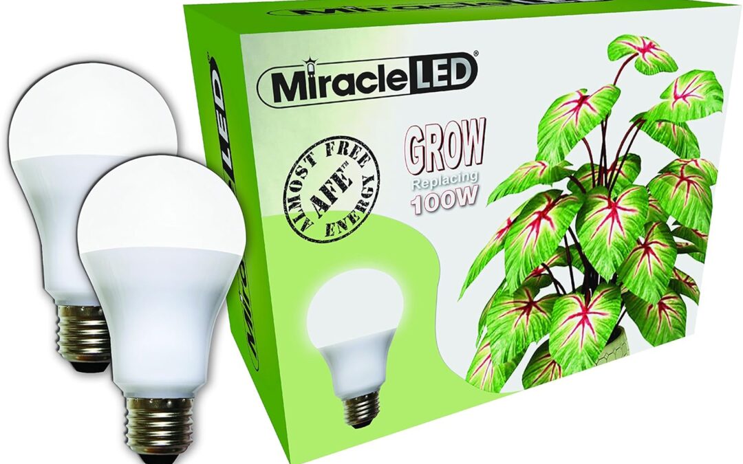 Miracle LED Almost Free Energy 100W Grow Lite Review