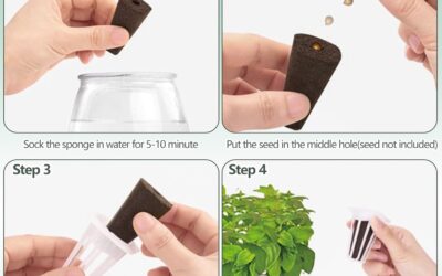 YBB 30 Set Hydroponic Seed Pods Kit Review