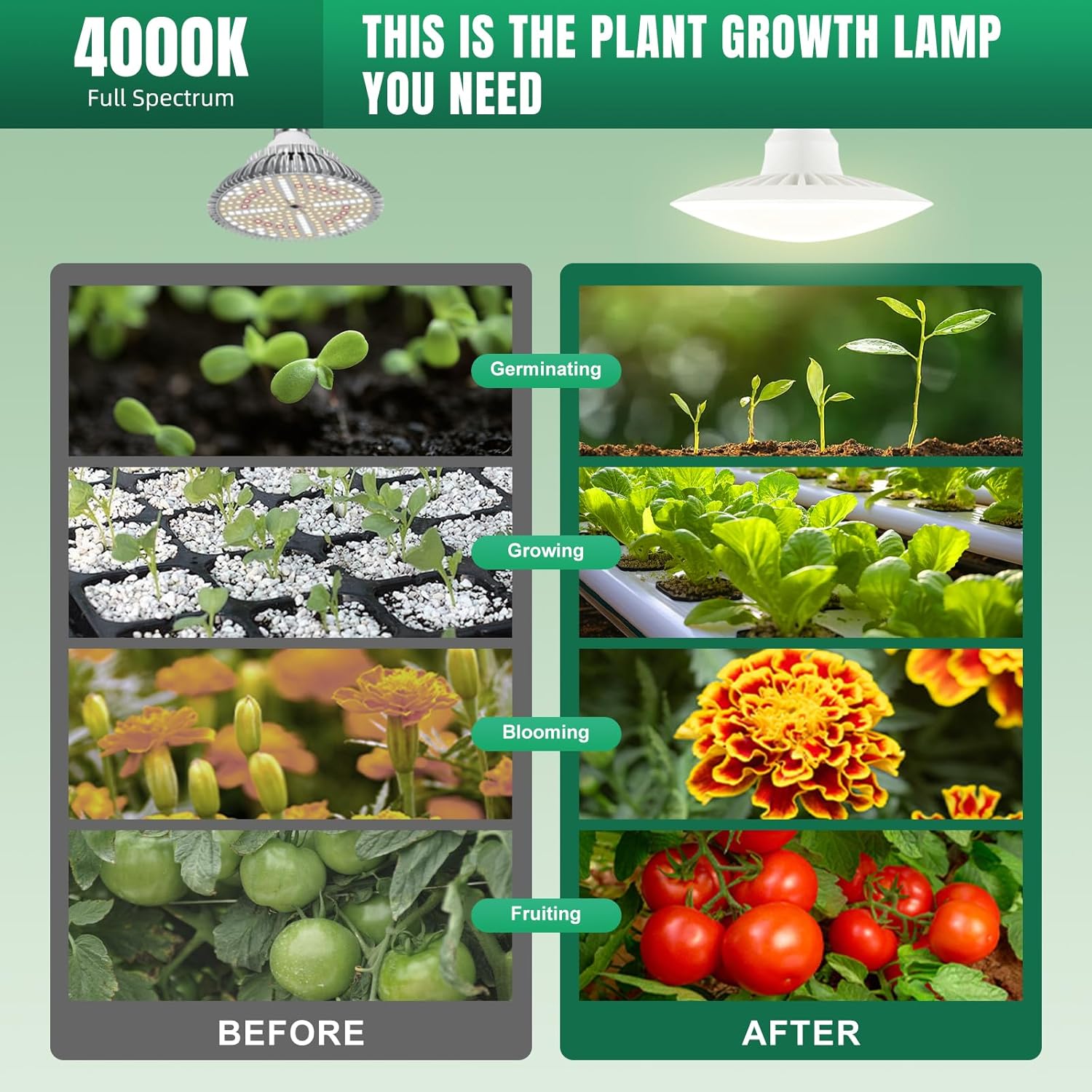 15W Hanging Plant Lights for Indoors led Grow Light Hanging Corner Hanging Plant Light PPFD Energy Saving for Greens Plant Grow Light Hanging 4000K Grow Lights for Indoor Plants