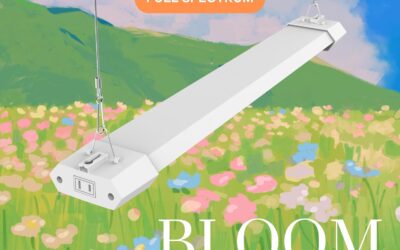 2 in 1 LED Bloom Grow Light Review