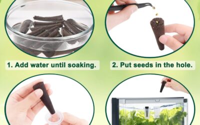30 Pack Grow Sponges Seed Pods Kit review