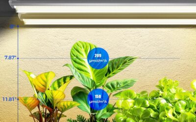 Barrina Plant Light 144W Review