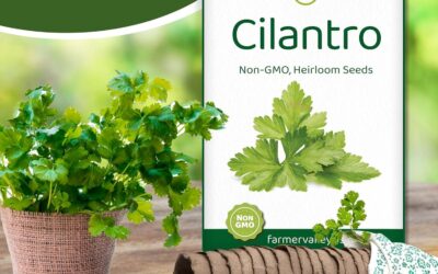 Cilantro Seeds for Planting Review