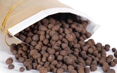 D’vine Dev Ceramic Planter Filler Balls Review