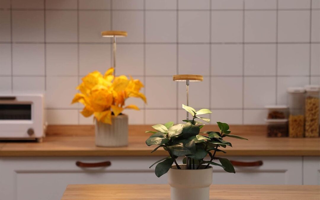 Bamboo Mini LED Grow Light Garden Review