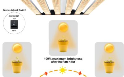 SPC3500 LED Grow Light 350W review