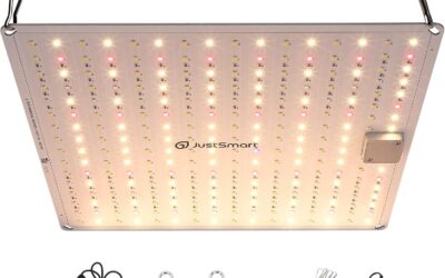 1000W 2 x2 Plant Growing Lights Review