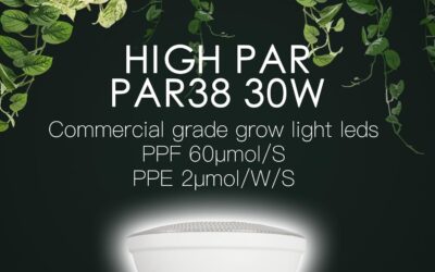 LED 30W Hanging Grow Light Review