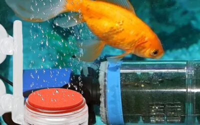 Zerodis Aquarium Bubble Diffuser Kit Review