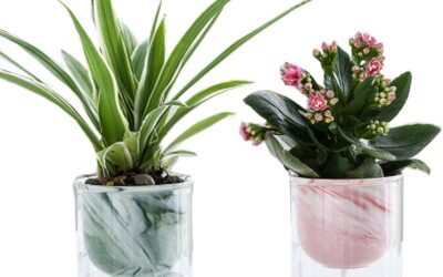 2 Sets Semi Hydroponics Pot Review