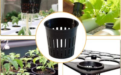 6 Inch Net Cups Review