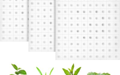 600pcs Hydroponic Planting Sponges Review