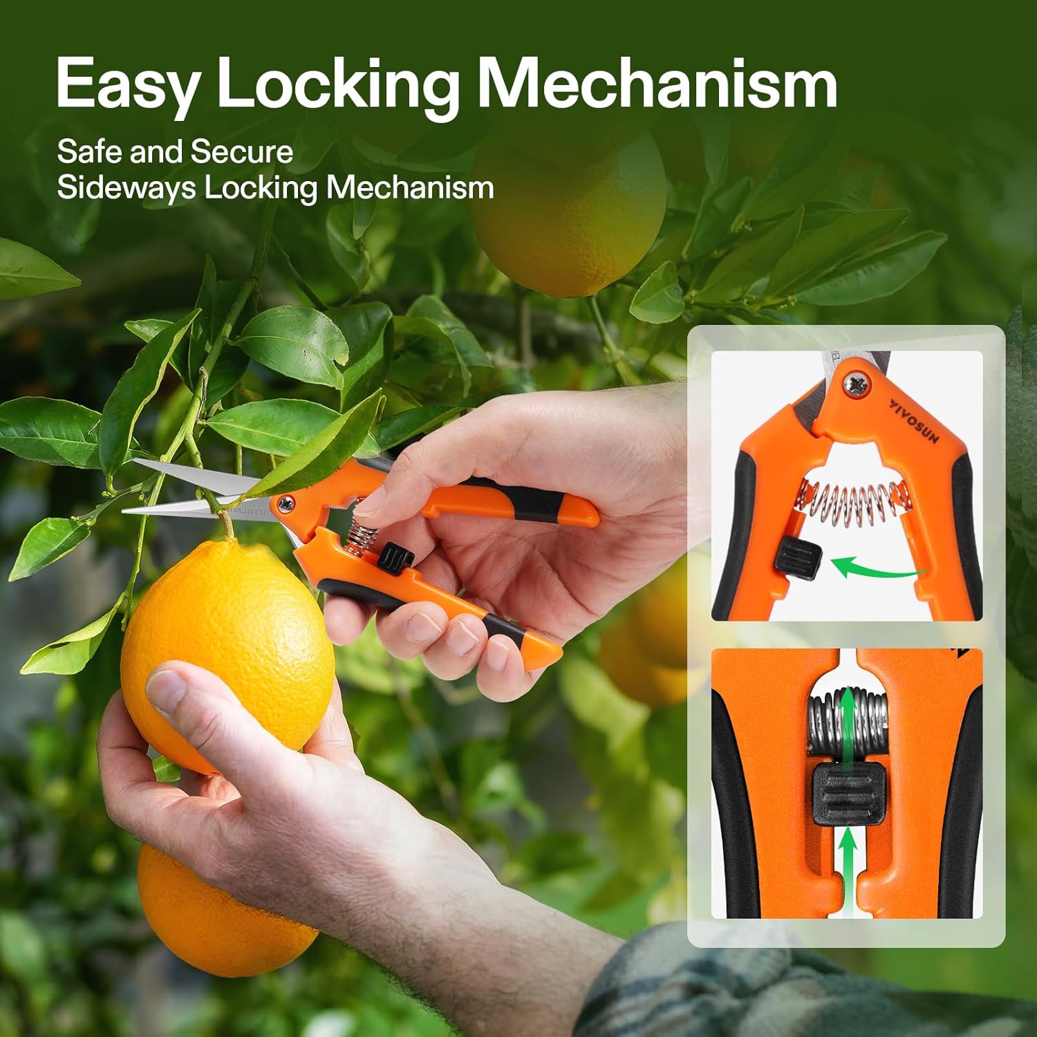 VIVOSUN PH Meter, TDS and EC Meter, Soil Tester Combo and 3-Pack 6.5 Inch Gardening Hand Pruner VIVOSUN PH Meter, TDS and EC Meter, Soil Tester Combo and 3-Pack 6.5 Inch Gardening Hand Pruner