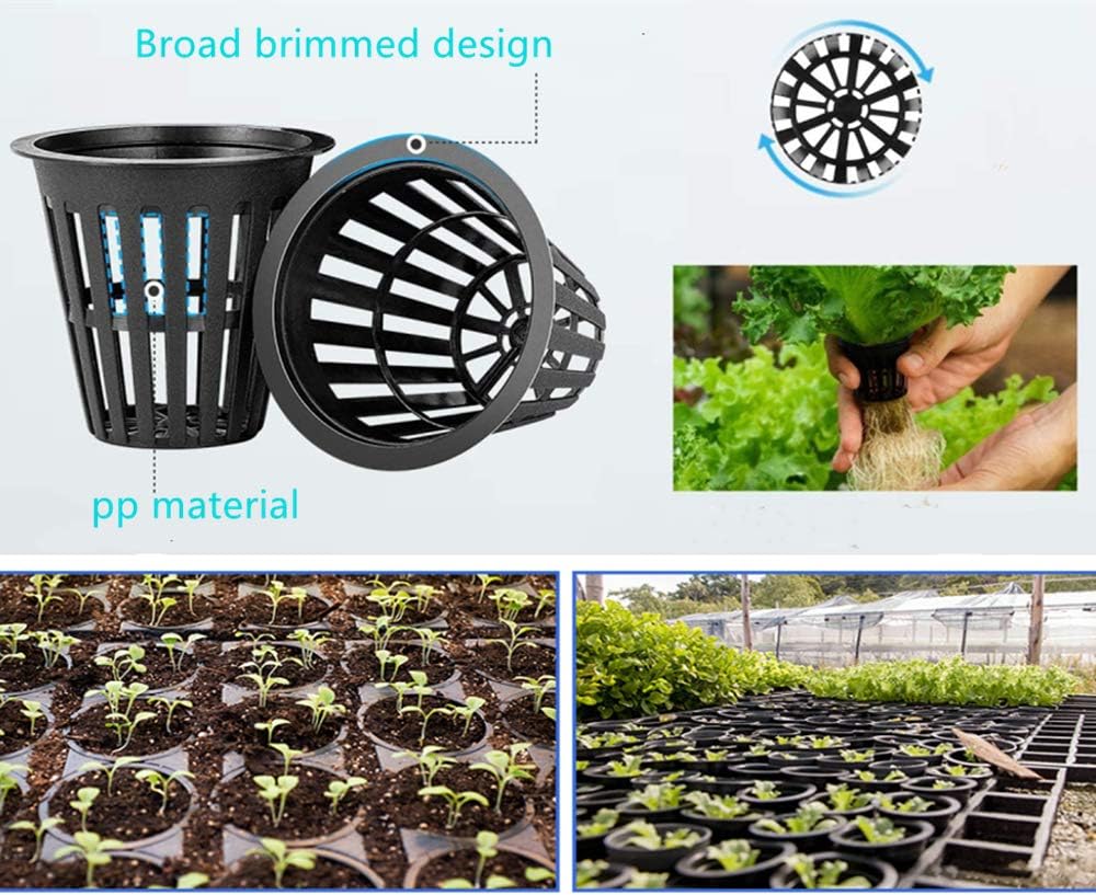 100PCS 2 Inch Garden Slotted Mesh Net Cups, Round Heavy Duty Net Cups Pots for, Hydroponics Slotted Mesh… 100PCS 2 Inch Garden Slotted Mesh Net Cups, Round Heavy Duty Net Cups Pots for, Hydroponics Slotted Mesh…