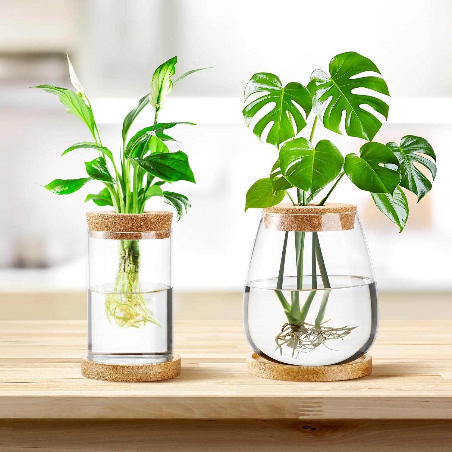 Layhit 4 Pcs Plants Propagation Stations vases Glass Planters with Wooden Lid and Bamboo Stand for Hydroponic Plants Gardening Gifts for Women Mom Home Office Tabletop Decoration(Classic Style) Layhit 4 Pcs Plants Propagation Stations vases Glass Planters with Wooden Lid and Bamboo Stand for Hydroponic Plants Gardening Gifts for Women Mom Home Office Tabletop Decoration(Classic Style)