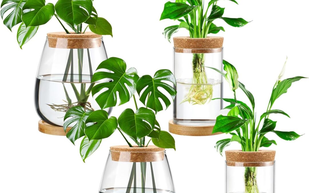 Layhit 4 Pcs Plants Propagation Stations vases review