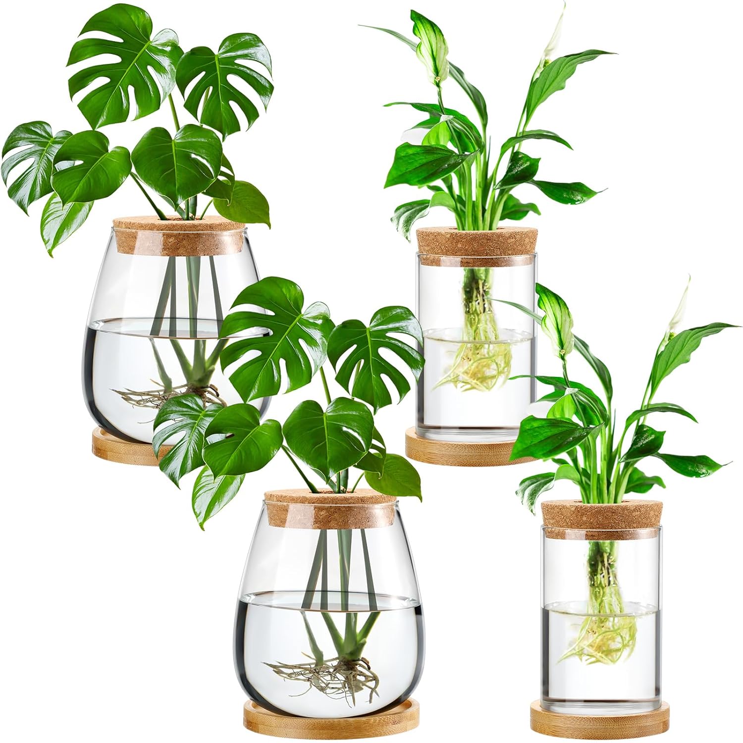 Layhit 4 Pcs Plants Propagation Stations vases Glass Planters with Wooden Lid and Bamboo Stand for Hydroponic Plants Gardening Gifts for Women Mom Home Office Tabletop Decoration(Classic Style) Layhit 4 Pcs Plants Propagation Stations vases Glass Planters with Wooden Lid and Bamboo Stand for Hydroponic Plants Gardening Gifts for Women Mom Home Office Tabletop Decoration(Classic Style)
