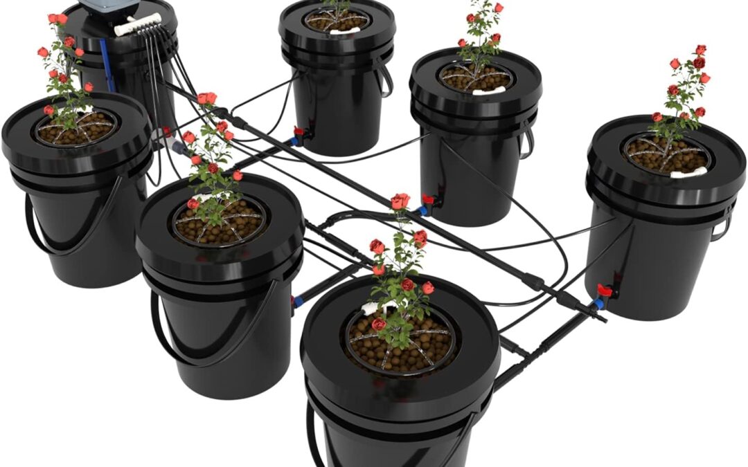 RDWC Top Feed Drip Hydroponics Systems Review