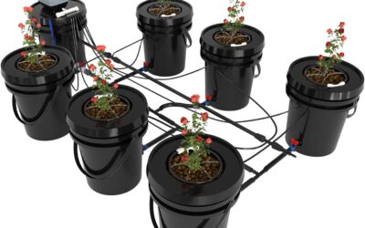 RDWC Top Feed Drip Hydroponics Systems Review